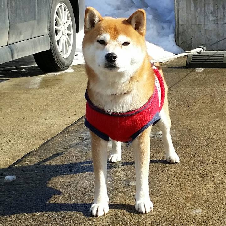 015c2f5c 2ee4 45dc 86ab b64692bcce54