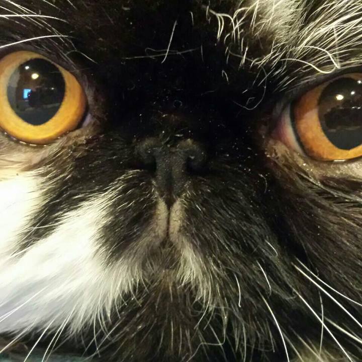 015cbf02 c75f 4807 b064 eed86b6099d0