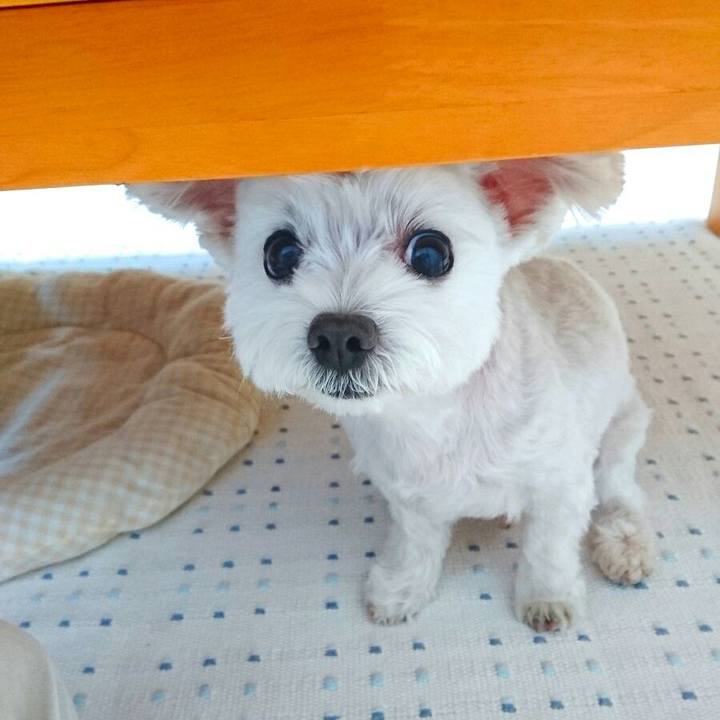 015ddf3c 7e61 4f7c ad34 7ca722910325