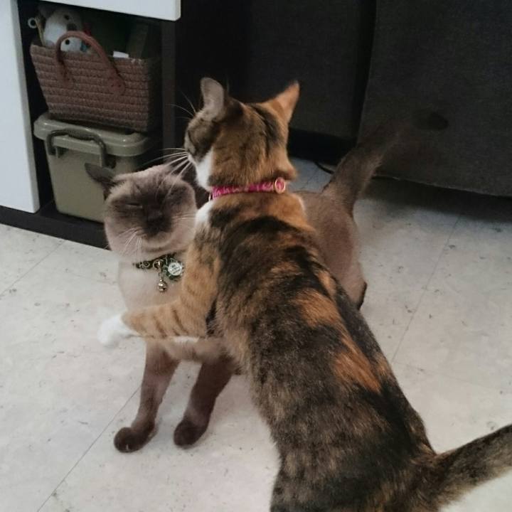 015f5b90 6214 46d4 a305 831e644eaf11