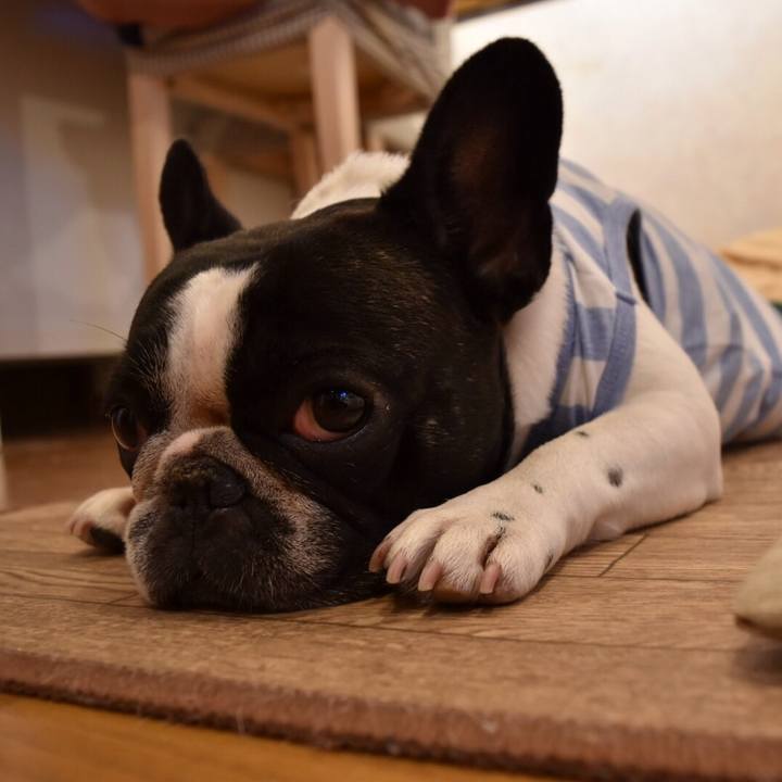 015f5e7d 6149 485f b175 cd9704afac8b