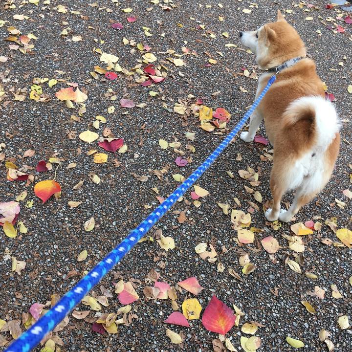 015fb838 95eb 4971 9edf 363664e1c8fa