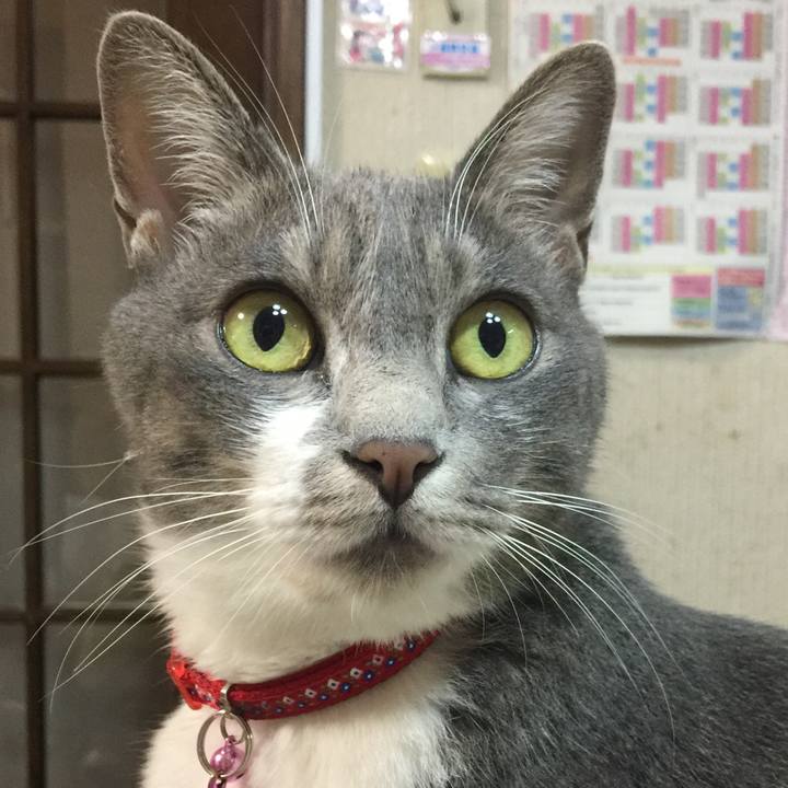 01605ba2 c365 4d17 8a19 8c4a9f372cd2