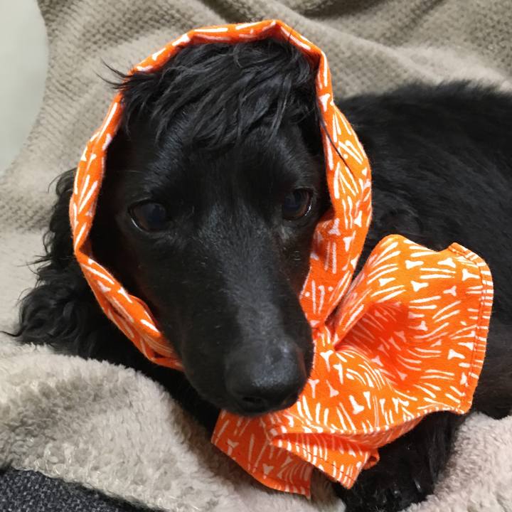 0160ebd6 c184 4ae5 9737 2f1ed8ecaaf5