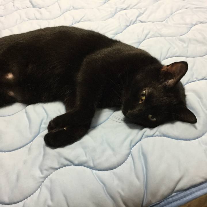 016173fe 05ce 4468 85a7 fcd53970f5be