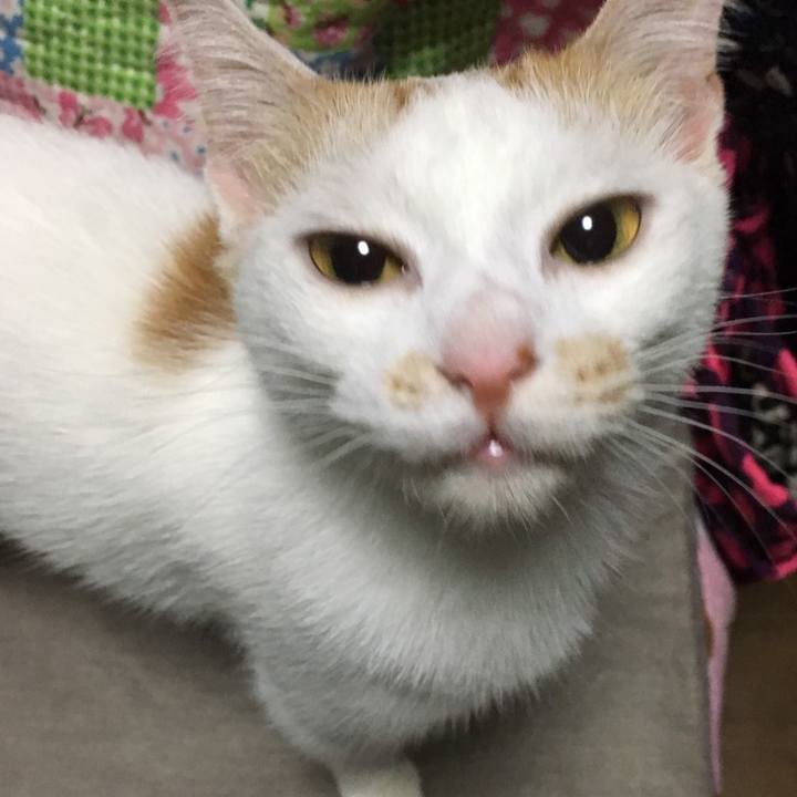 01620e7b 8c6b 4870 af91 b304696d0253