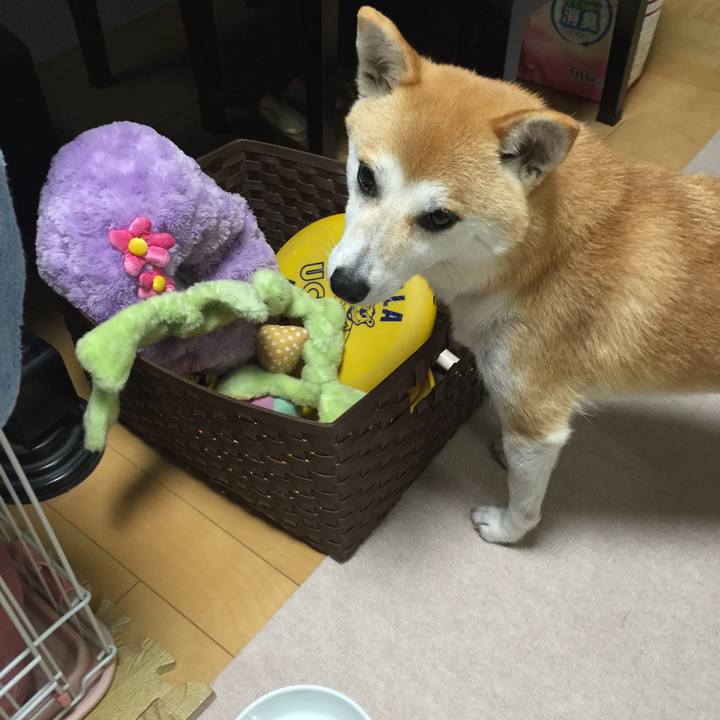 0162d8d2 cab1 41f9 a77e 45c734030941