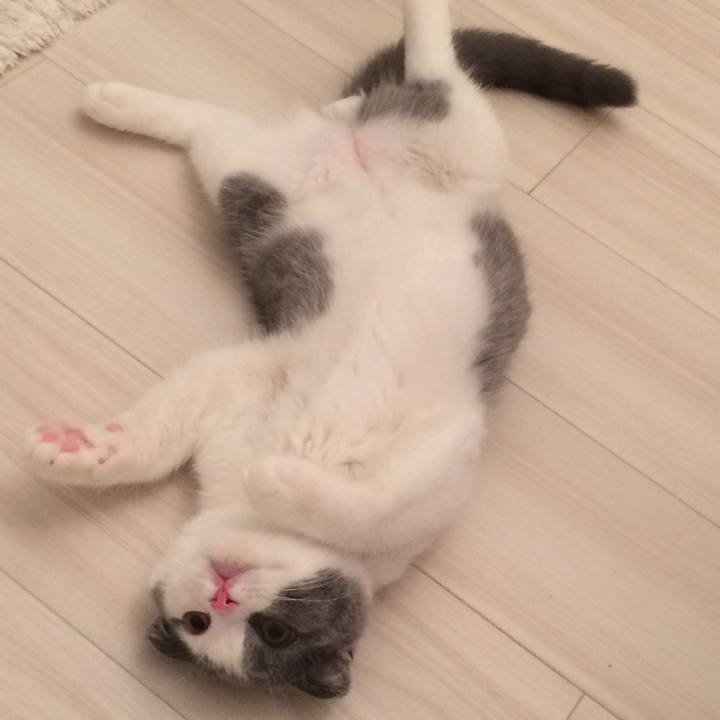 0163c3d3 c6b1 4f50 8acb b03798122a31