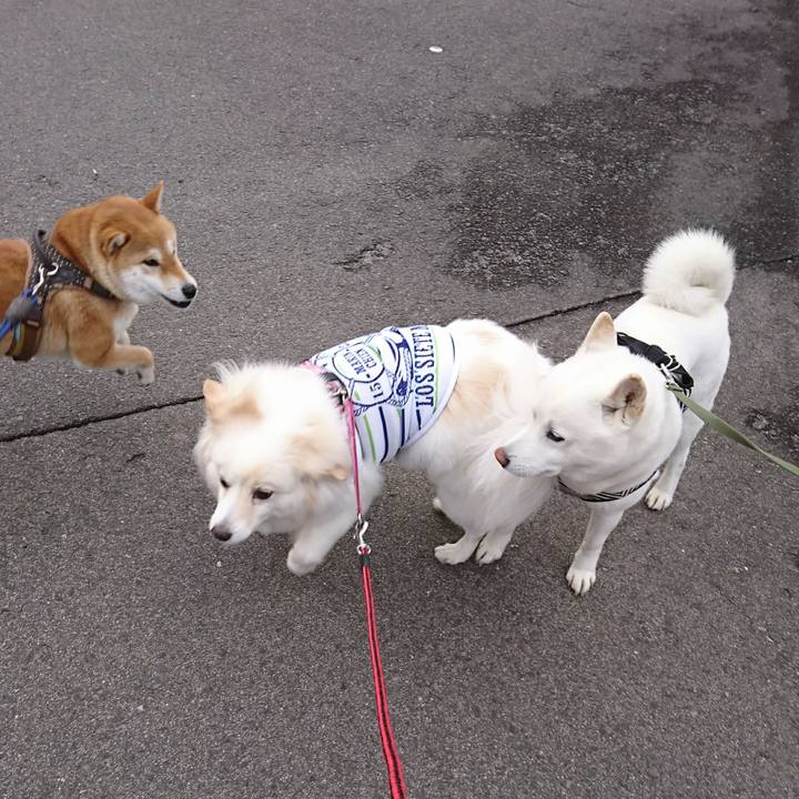 0164266f 96b3 4f37 bc2d 3fda574b70fb