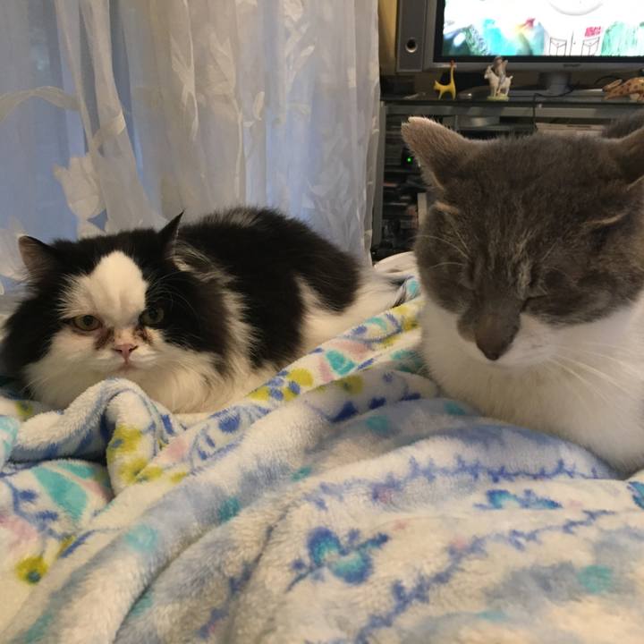 01646907 8543 481f b958 b379159e113a