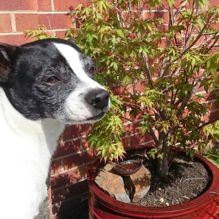 016488da 595c 4c9f 82c2 c16f81a3e912