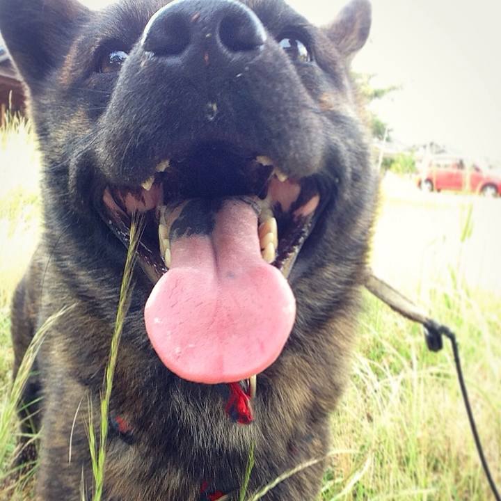 0164cdad eb61 4626 ad49 3d55f5b8e5df