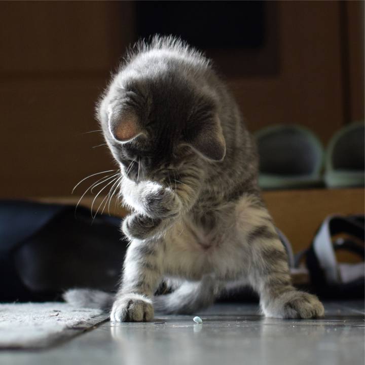 01655e81 20d6 405a a065 b806710a6b9d