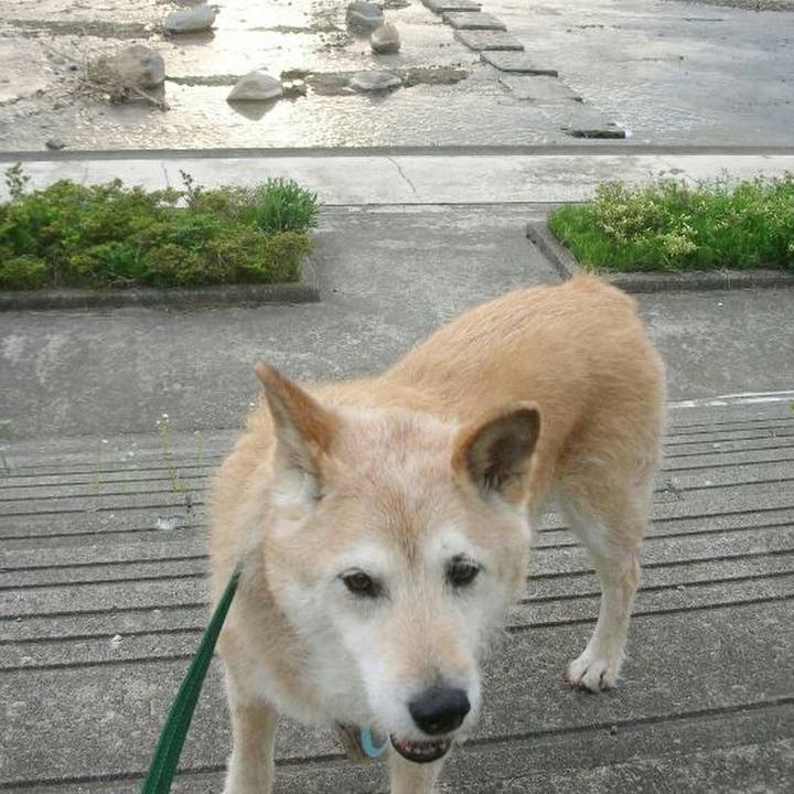 0165921a d529 44b9 afde f885424fca9d