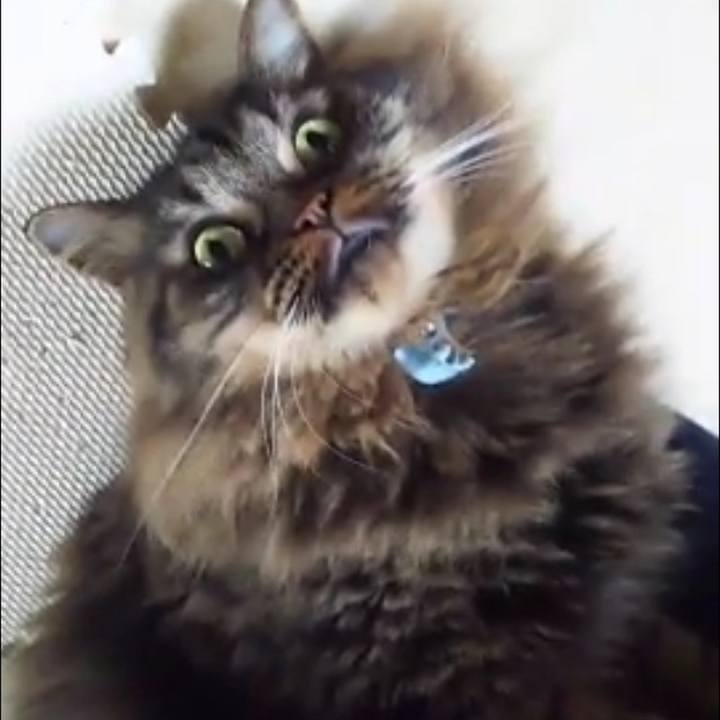 0165d7da 6b60 4691 b028 02f5edf6d980