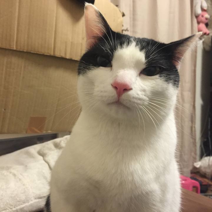 01663390 050a 48ac b501 83d71bb415ef