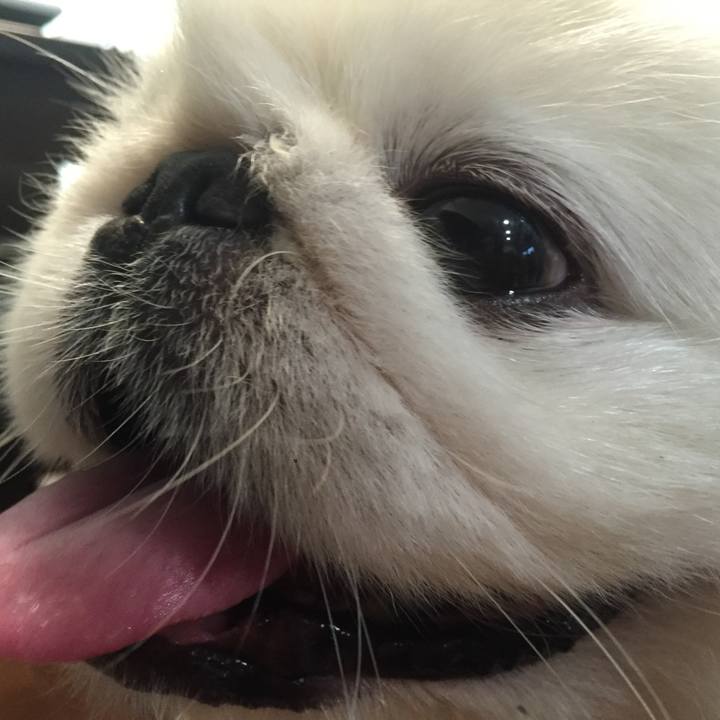 0166dce2 79c8 4f3d 9379 348f3faa8d6d