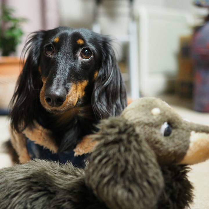 01671f75 d4b6 439c 90a6 0ef00892075d