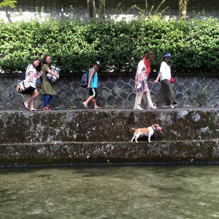 0167c8ce 37ed 482b a026 fba798cbaec9