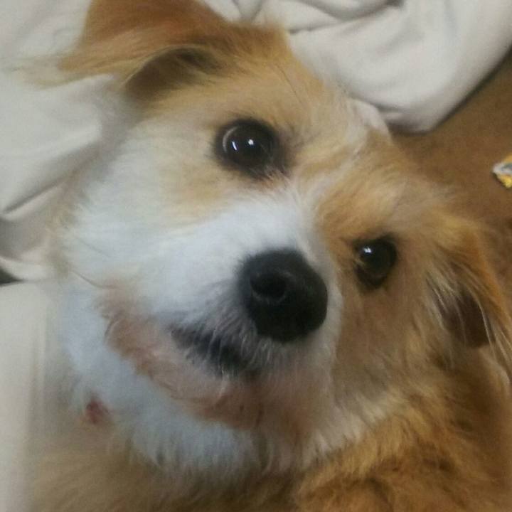 0167dfb1 5116 4e2d 8fb8 397f2fb887a5