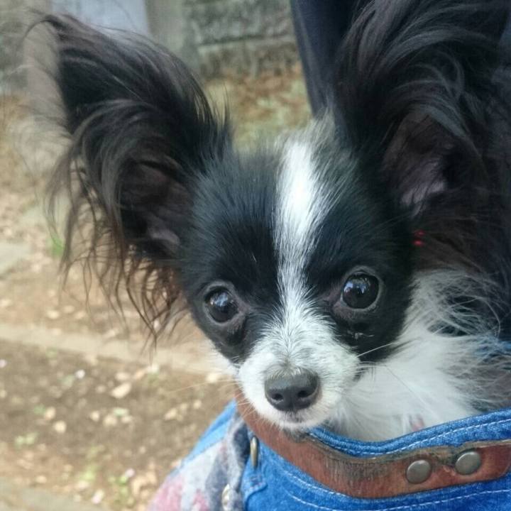 01681470 43bc 4ca0 be21 667ae850430a