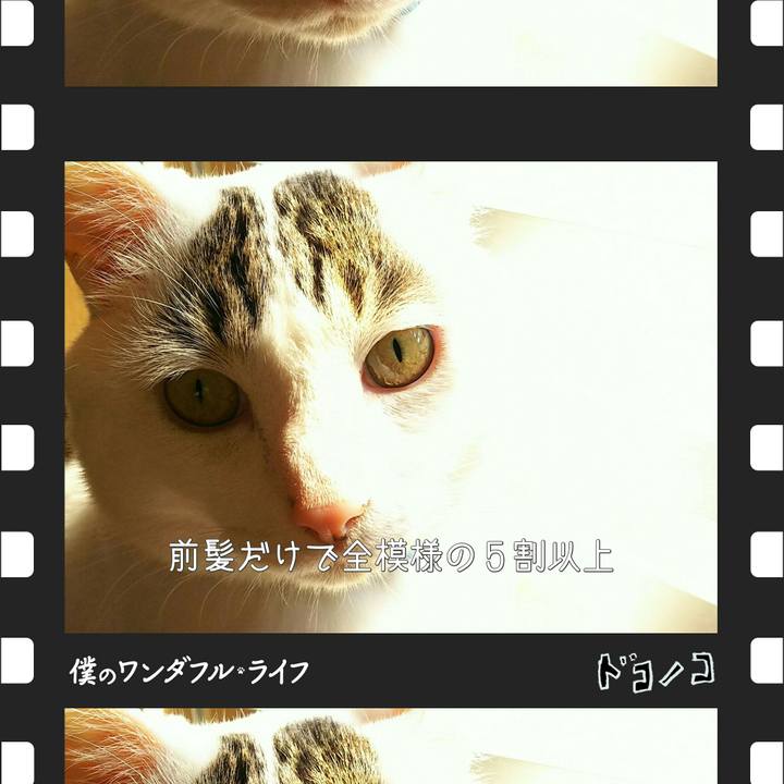 0168b011 331f 4733 9bb9 eb09dd42ddb4