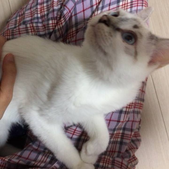 016972cc 0e93 4b12 84c0 a06ab3417893