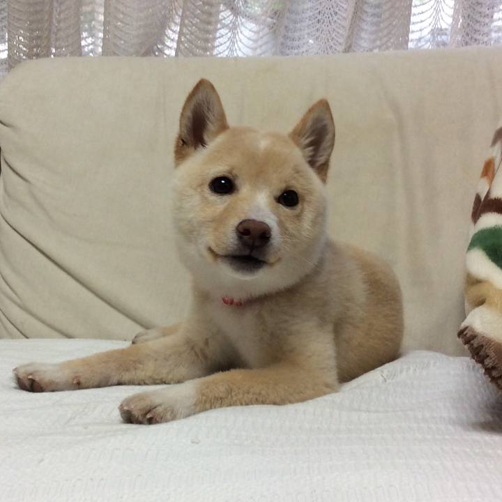 01698245 c820 4919 b907 69462f2ebb33