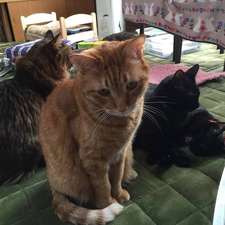 016a220c f856 4d03 932a 618a720b09a2