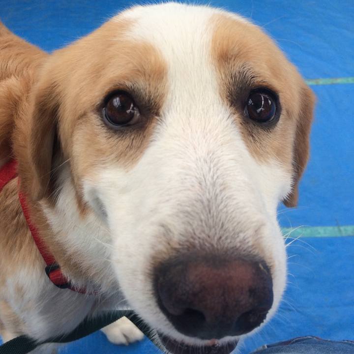 016ace7f 4a8d 4fd3 a435 eb7ceb038af7