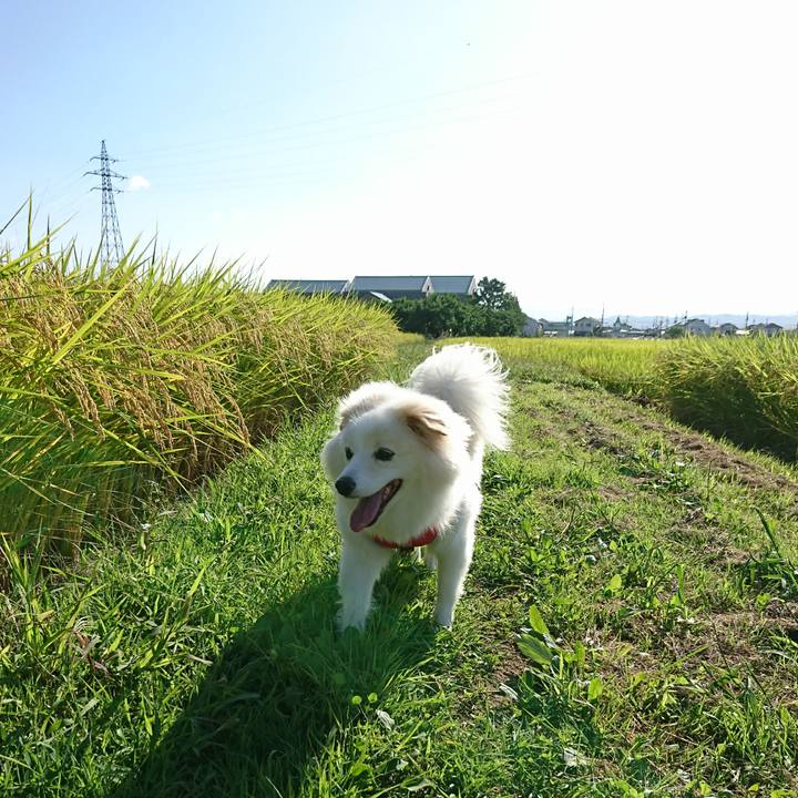 016b08ab 7174 469e 99d4 90266005ca1b