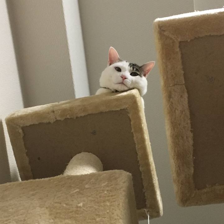 016b3f4c 67f6 4555 921d f024307376cd