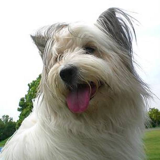 016bf663 20d6 4e03 bfa1 217044c596f6