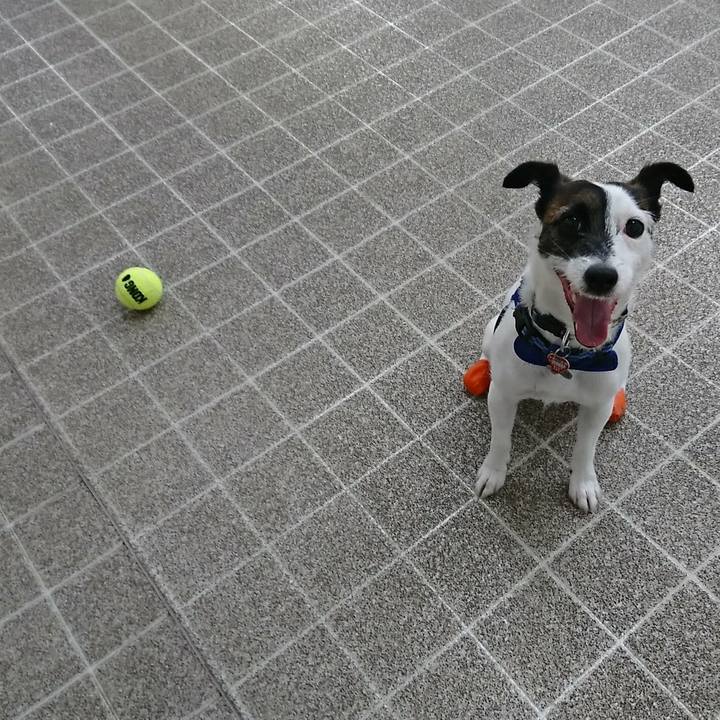 016c0c1e c99a 4e9c 8164 7c7000efc2f1