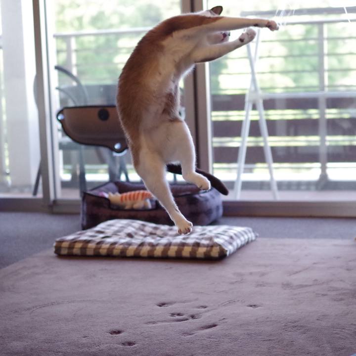 016cceaa 3dfe 4a5c a7e9 f676eea04c9c