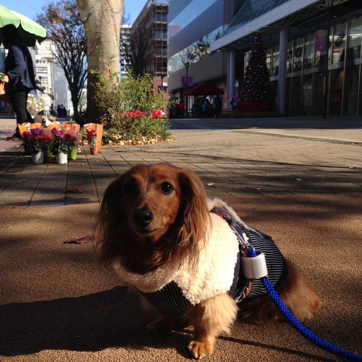 016cee1e d4c7 4902 ae96 08e749da56e4