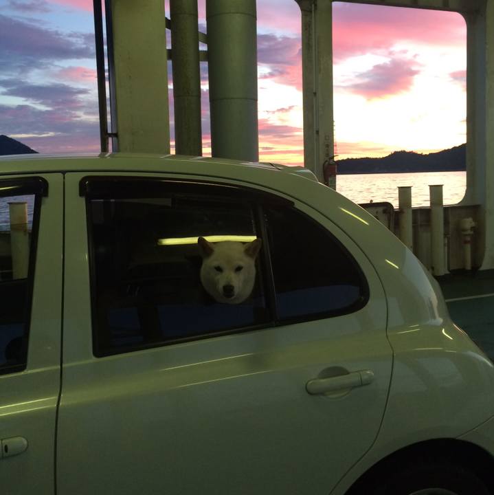 016d27ae 880e 4738 9aff 19dd7f3d9747