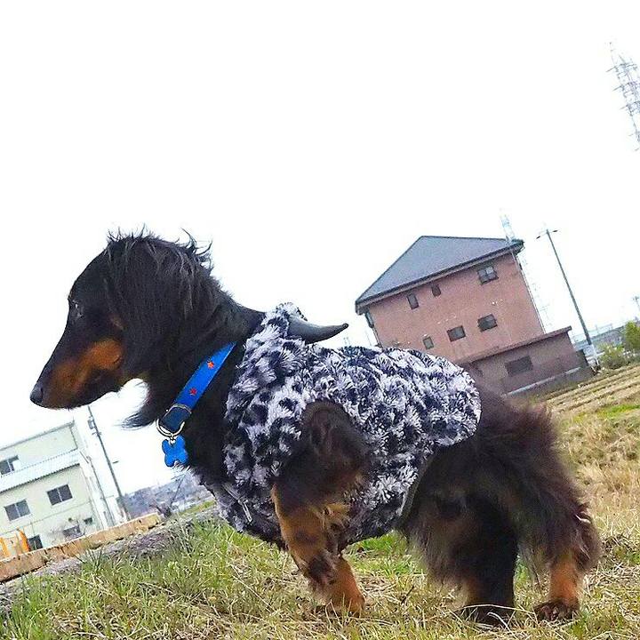 016d55df c9bb 4f34 a3b8 5389119e6253