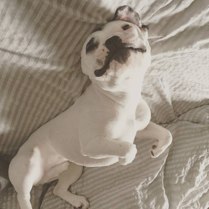 016d63a1 a6f6 48b7 876d 938775efe5a8