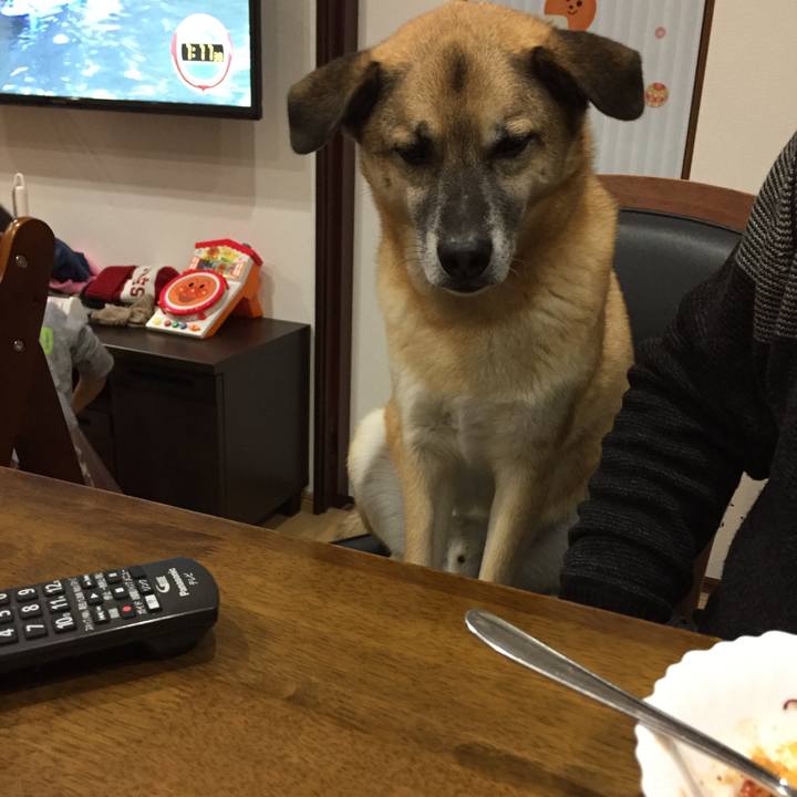 016ed3da c4c4 4d74 aa2f eb23b22683a3