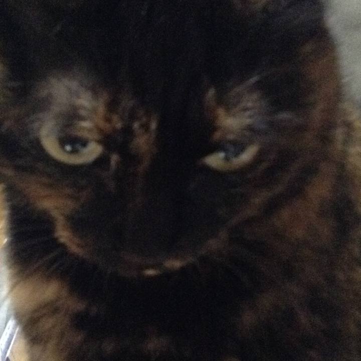 016f2587 1c7c 4a30 bb21 dd53cf5af186