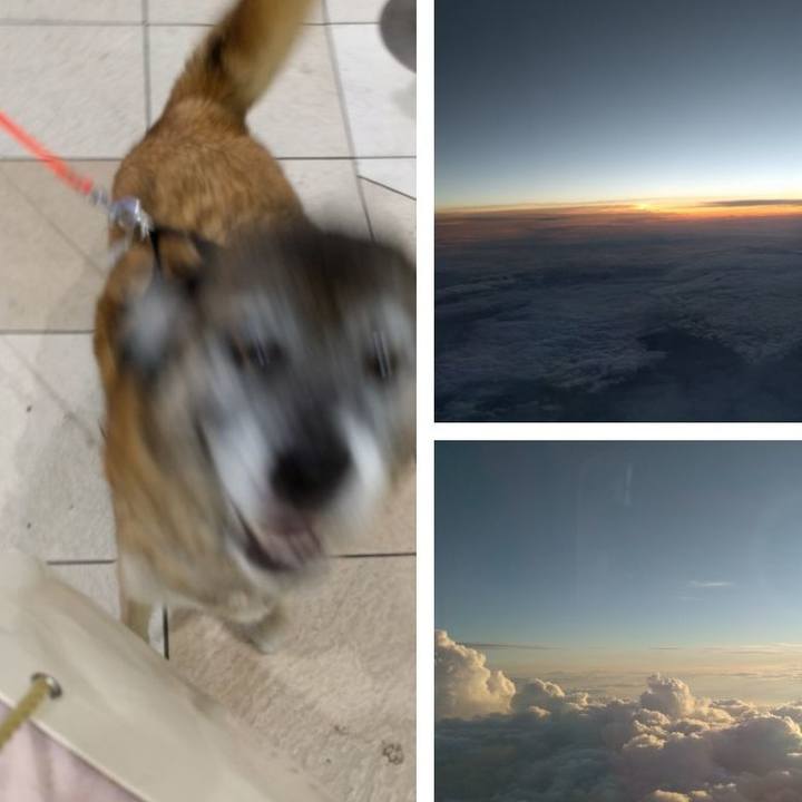 016fd644 c7e1 4b09 85b7 10fd7c58c4e8