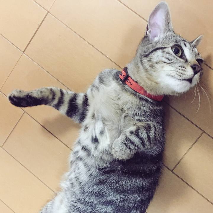 01701cca 013a 4948 b549 87b88cf99362