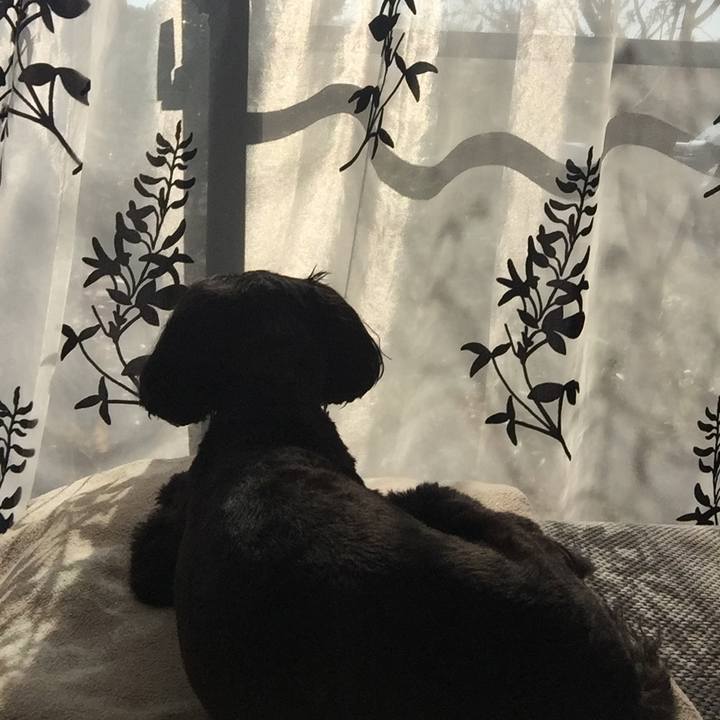 017169bb b4cc 4f0d 85e2 1064ebb30c1c