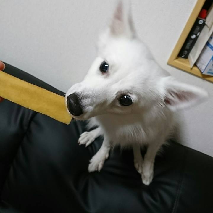 017206b1 f49b 4571 ba04 4d74a01ec063