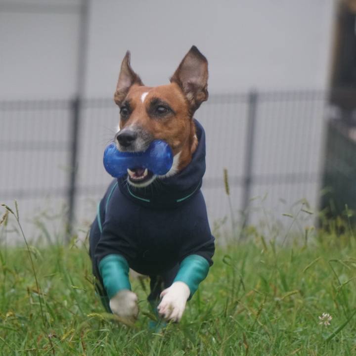 0172e067 e9ee 43a3 8916 efc41f8e635a