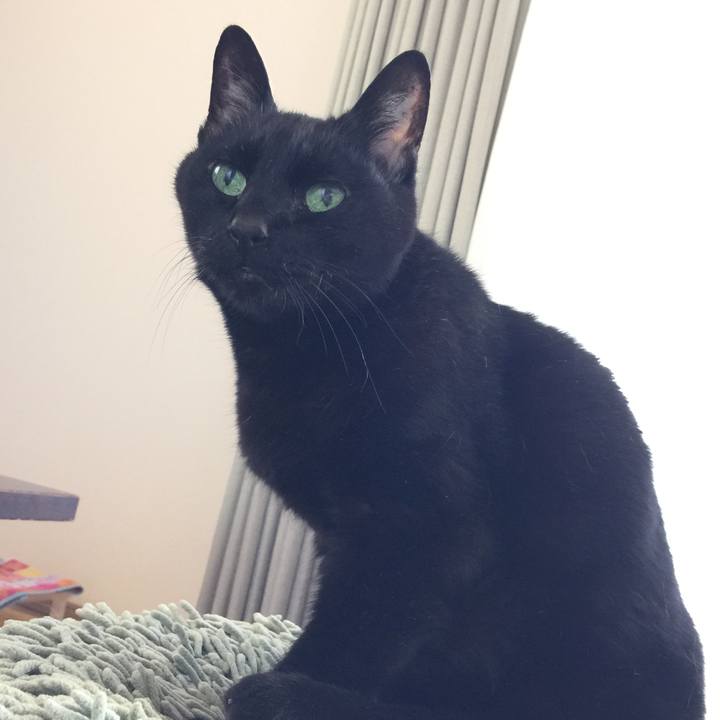 0172ee04 dcd9 4a7a bca8 265b760a8665