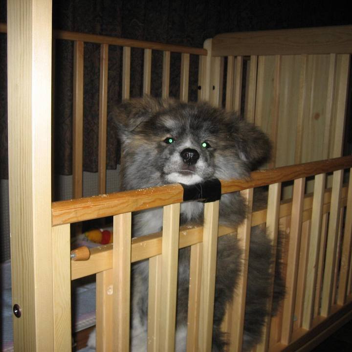 0172fd97 0258 4d08 9a8b b226ff2714fa