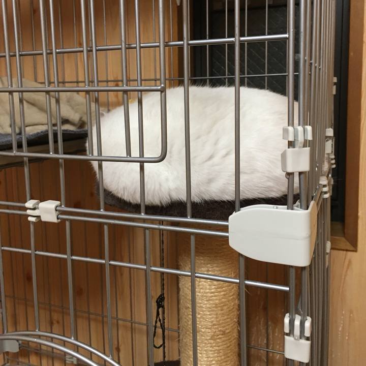 01731cf5 7abf 4f26 8c74 f8a211c6e7c1