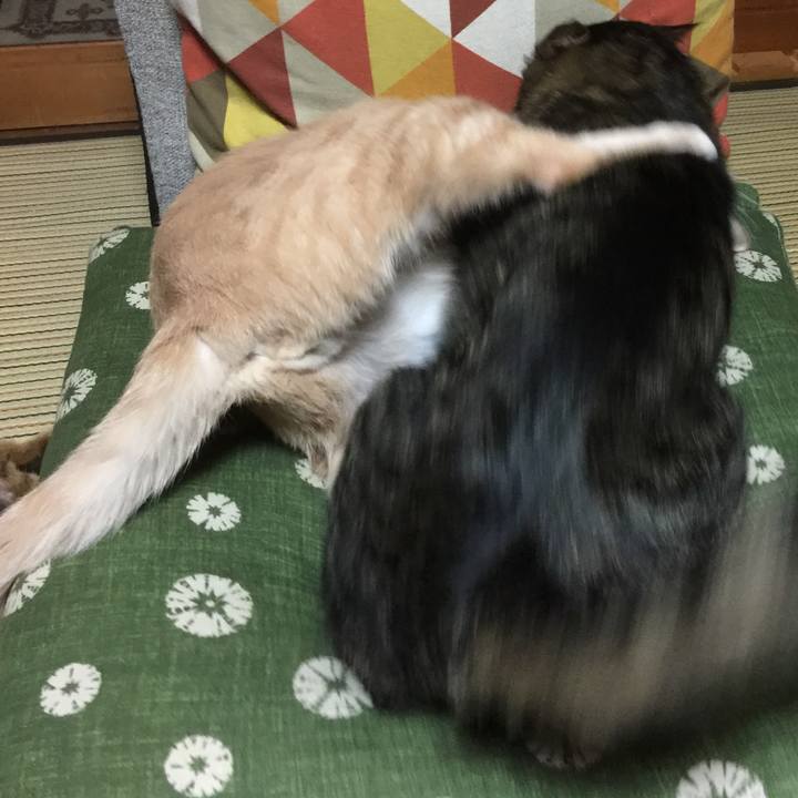 01736a59 530e 49ff 9706 7443bf11d4f8